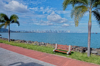_1010341_Nik_DxO