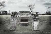 _DSC3179-Edit-Edit