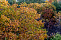 _MG_0212