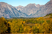 _MG_6733-Edit