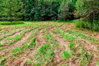 _C7A6447_Nik_DxO