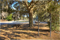 Darien, GA