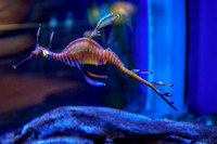 _DSC0565