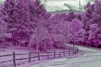 _MG_1204-Edit_DxO