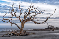 _7R31306-Edit
