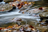 _7R33226_Nik_DxO