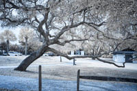 _IR71541-Edit