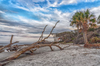 _7R31395-Edit-2-Edit
