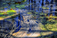 _C7A1349-Edit