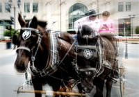 _DSC3233-Edit