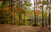 _DSC2655-Edit