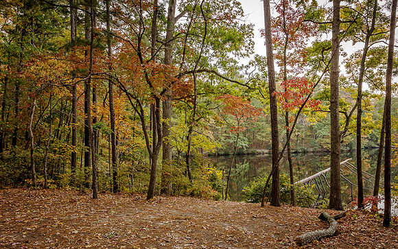 _DSC2655-Edit