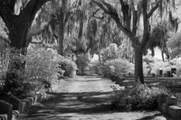 _MG_1594-Edit