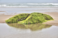 Coast Guard Beach