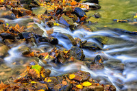 _C7A6838-Edit