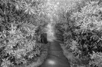 _IR70740-Edit