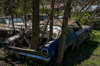 _DSC8857-Edit