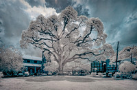 _C7A9740_Nik_DxO