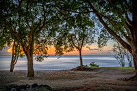 _MG_4677-Edit