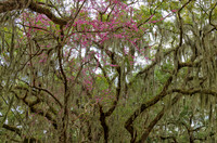 _C7A0695-Edit
