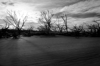 _DSC0221-Edit