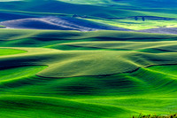 _DSC2791-Edit