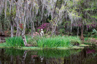 _C7A1438_DxO