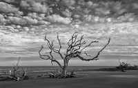 _DSC0206-Edit