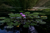 _MG_9643-Edit