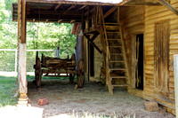 _C7A8334_DxO