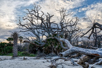 _7R31315-Edit_AuroraHDR-edit