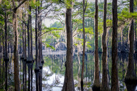 _C7A8325-Edit_DxO