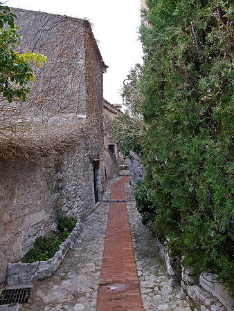 Eze 5