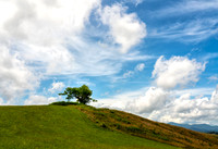 _7R32760-Edit