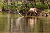 _C7A6866-Edit