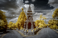 _IR70113-Edit-3