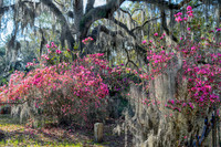 _7R31580-Edit