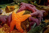 _MG_3908-Edit