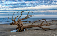 _7R31303-Edit-Edit