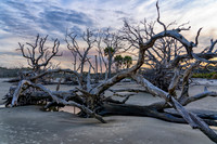_7R31290-Edit