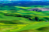 _DSC2745-Edit