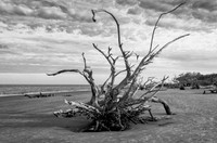 _DSC0213-Edit