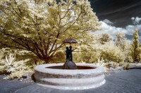 _IR70129-Edit