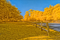 _DSC0356-Edit