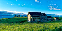 _DSC2695_Nik_Nik_DxO