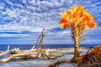 _DSC0187-Edit