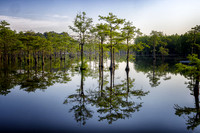 _C7A8312-Edit_DxO