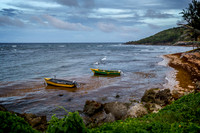 _MG_9731-Edit