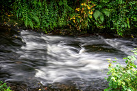 _DSC6140-Edit