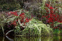 _C7A1681_DxO